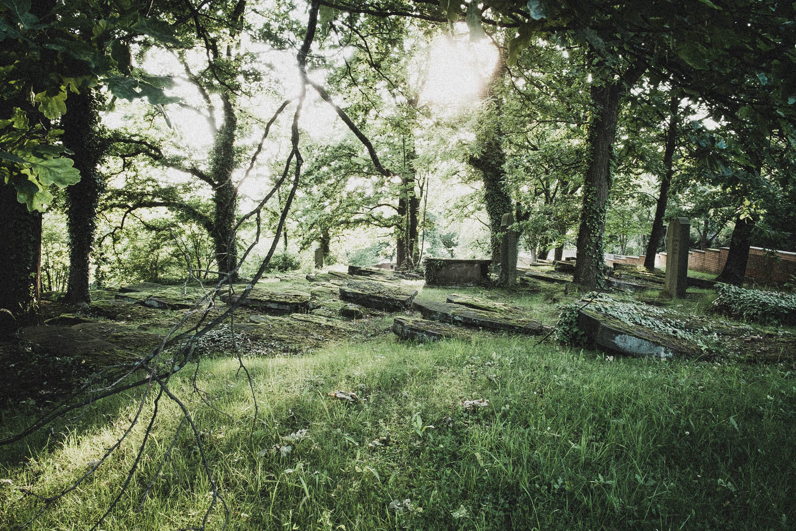 Jüdischer Friedhof Kassel-Bettenhausen
